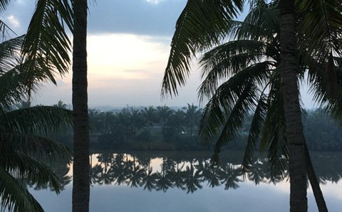 Organizasyon Odaklılık